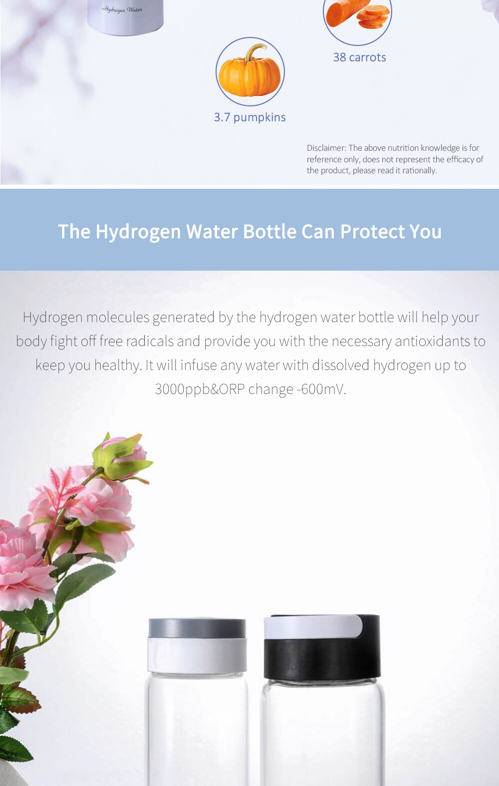 Powerful Antioxidant: SPE & Amp; PEM Hydrogen Water Generator - 380ML Glass Water Bottle